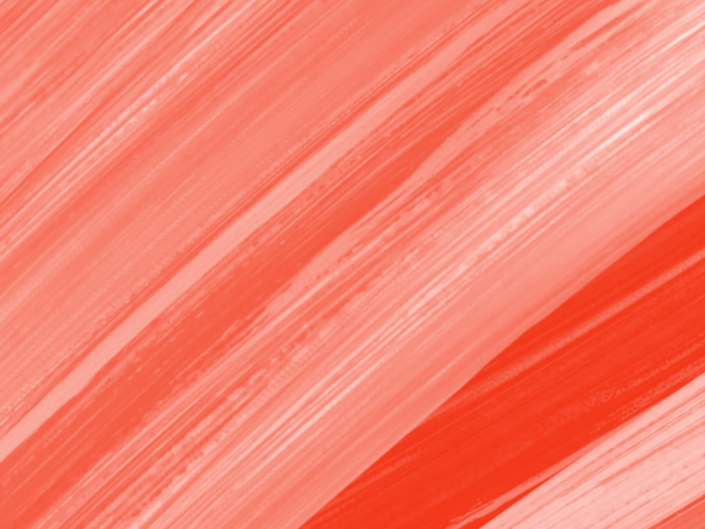 La educación paraguaya y el desafío de adaptarse al&nbsp;futuro